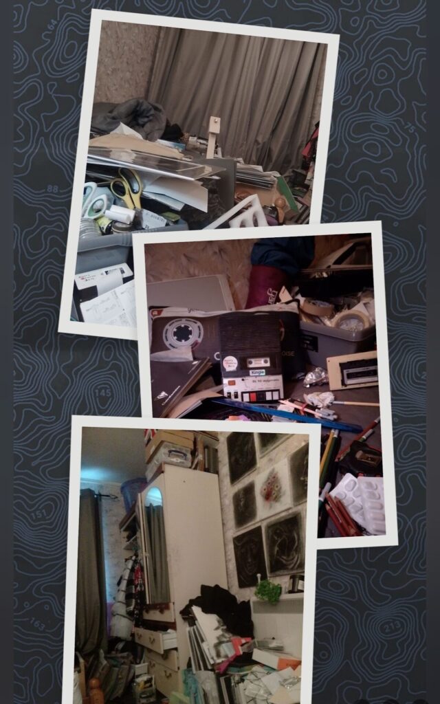 A picture montage showing three snapshots of "The Nest"
